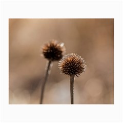 Withered Globe Thistle In Autumn Macro Small Glasses Cloth (2-side) by wsfcow