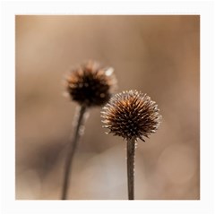 Withered Globe Thistle In Autumn Macro Medium Glasses Cloth by wsfcow