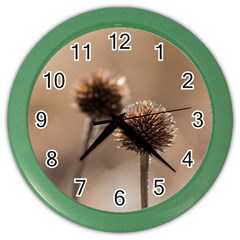 Withered Globe Thistle In Autumn Macro Color Wall Clocks by wsfcow