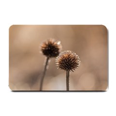 Withered Globe Thistle In Autumn Macro Small Doormat 