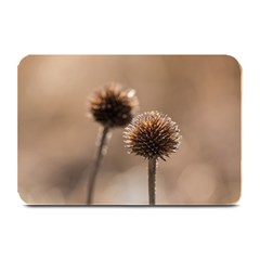 Withered Globe Thistle In Autumn Macro Plate Mats by wsfcow