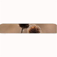 Withered Globe Thistle In Autumn Macro Small Bar Mats by wsfcow