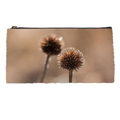 Withered Globe Thistle In Autumn Macro Pencil Cases