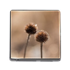 Withered Globe Thistle In Autumn Macro Memory Card Reader (square)