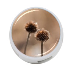 Withered Globe Thistle In Autumn Macro 4-port Usb Hub (two Sides)  by wsfcow