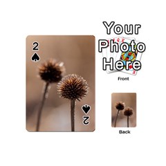 Withered Globe Thistle In Autumn Macro Playing Cards 54 (mini)  by wsfcow