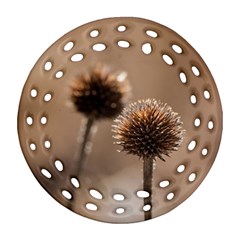 Withered Globe Thistle In Autumn Macro Round Filigree Ornament (2side)