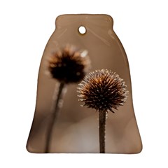 Withered Globe Thistle In Autumn Macro Bell Ornament (2 Sides)