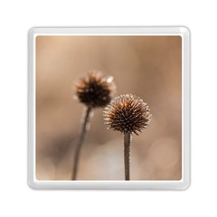 Withered Globe Thistle In Autumn Macro Memory Card Reader (square)  by wsfcow