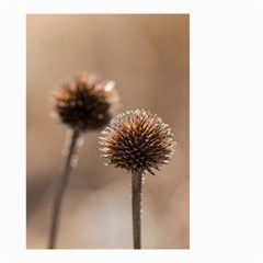 Withered Globe Thistle In Autumn Macro Small Garden Flag (two Sides)