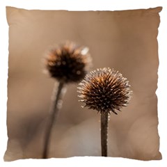 Withered Globe Thistle In Autumn Macro Large Cushion Case (one Side)