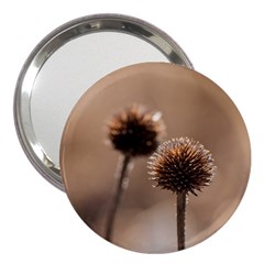 Withered Globe Thistle In Autumn Macro 3  Handbag Mirrors by wsfcow