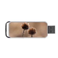 Withered Globe Thistle In Autumn Macro Portable Usb Flash (two Sides) by wsfcow