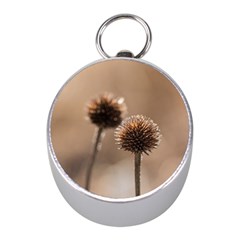 Withered Globe Thistle In Autumn Macro Mini Silver Compasses by wsfcow