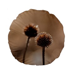 Withered Globe Thistle In Autumn Macro Standard 15  Premium Flano Round Cushions by wsfcow