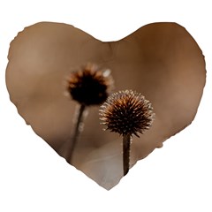 Withered Globe Thistle In Autumn Macro Large 19  Premium Flano Heart Shape Cushions