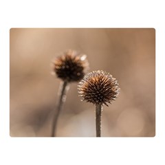 Withered Globe Thistle In Autumn Macro Double Sided Flano Blanket (mini)  by wsfcow