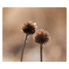 Withered Globe Thistle In Autumn Macro Double Sided Flano Blanket (small)  by wsfcow