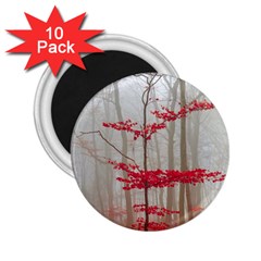 Magic Forest In Red And White 2 25  Magnets (10 Pack) 