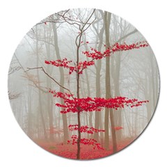 Magic Forest In Red And White Magnet 5  (round)