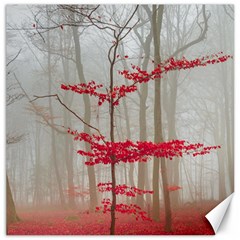 Magic Forest In Red And White Canvas 12  X 12  