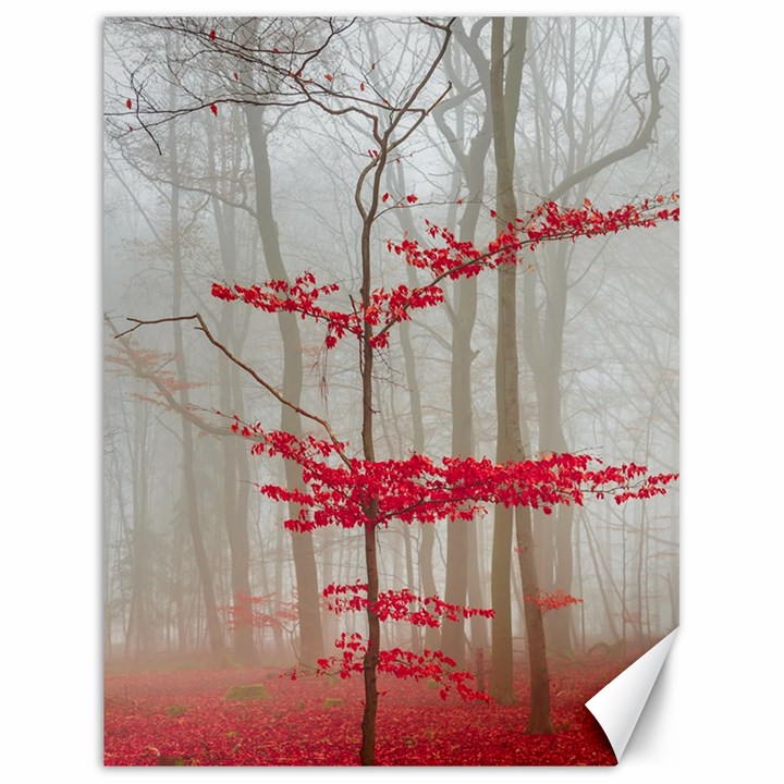 Magic forest in red and white Canvas 18  x 24  