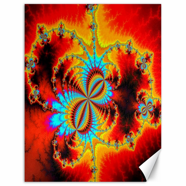 Crazy Mandelbrot Fractal Red Yellow Turquoise Canvas 18  x 24  