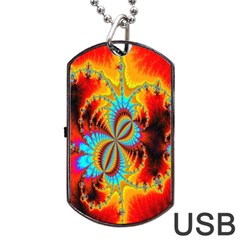 Crazy Mandelbrot Fractal Red Yellow Turquoise Dog Tag Usb Flash (one Side) by EDDArt