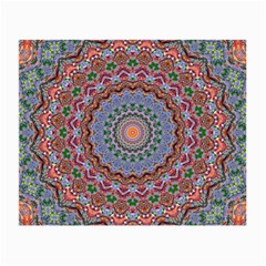 Abstract Painting Mandala Salmon Blue Green Small Glasses Cloth by EDDArt