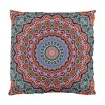 Abstract Painting Mandala Salmon Blue Green Standard Cushion Case (One Side) Front