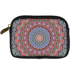 Abstract Painting Mandala Salmon Blue Green Digital Camera Cases by EDDArt