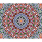 Abstract Painting Mandala Salmon Blue Green Deluxe Canvas 14  x 11  14  x 11  x 1.5  Stretched Canvas