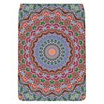 Abstract Painting Mandala Salmon Blue Green Flap Covers (L)  Front