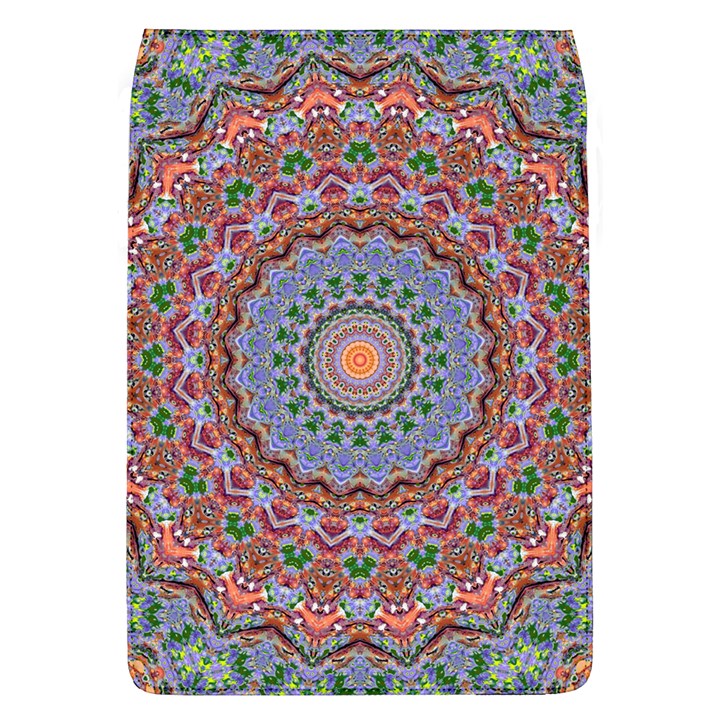 Abstract Painting Mandala Salmon Blue Green Flap Covers (L) 