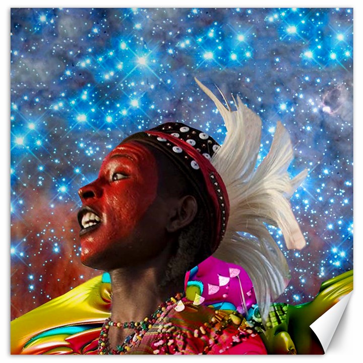 African Star Dreamer Canvas 12  x 12  