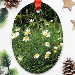 White Daisy Flowers Ornament (oval) 