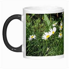 White Daisy Flowers Morph Mugs by picsaspassion