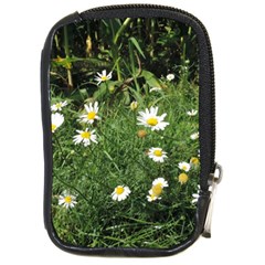 White Daisy Flowers Compact Camera Cases by picsaspassion