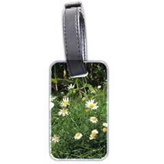 White Daisy Flowers Luggage Tags (two Sides) by picsaspassion