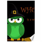 Who is a witch? - green Canvas 20  x 30   19.62 x28.9  Canvas - 1