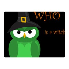 Who Is A Witch? - Green Double Sided Flano Blanket (mini)  by Valentinaart