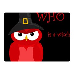 Who Is A Witch? - Red Double Sided Flano Blanket (mini)  by Valentinaart