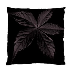 Pink Xray Flower Standard Cushion Case (one Side)