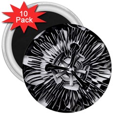 Black And White Passion Flower Passiflora  3  Magnets (10 Pack) 