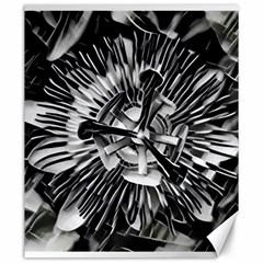 Black And White Passion Flower Passiflora  Canvas 20  X 24  