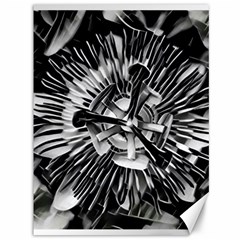 Black And White Passion Flower Passiflora  Canvas 36  X 48   by yoursparklingshop