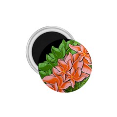 Decorative Flowers 1 75  Magnets