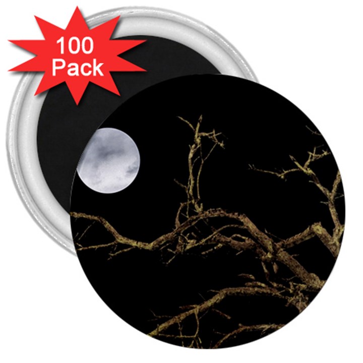 Nature Dark Scene 3  Magnets (100 pack)