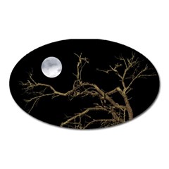 Nature Dark Scene Oval Magnet