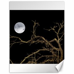 Nature Dark Scene Canvas 12  X 16  